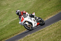 Lower Group White Bikes